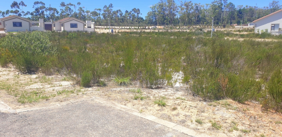  Bedroom Property for Sale in Albertinia Western Cape